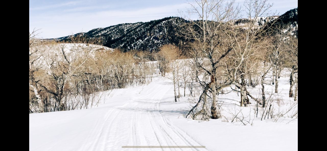 cabin snowmobile trails