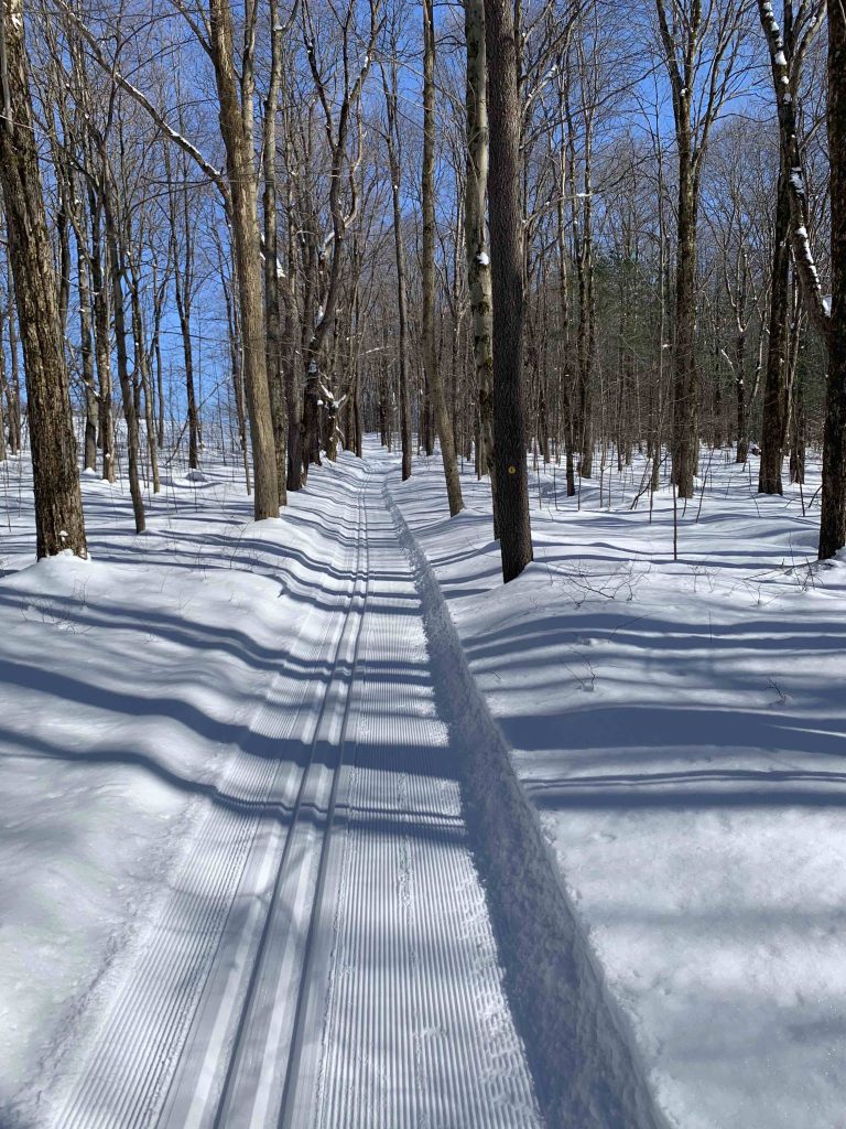 Nordic club trail with classic ski tracks through the woods